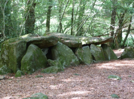 Le Dolmen de la Contrie